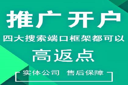 案例解析：SEM投放助力电商增长